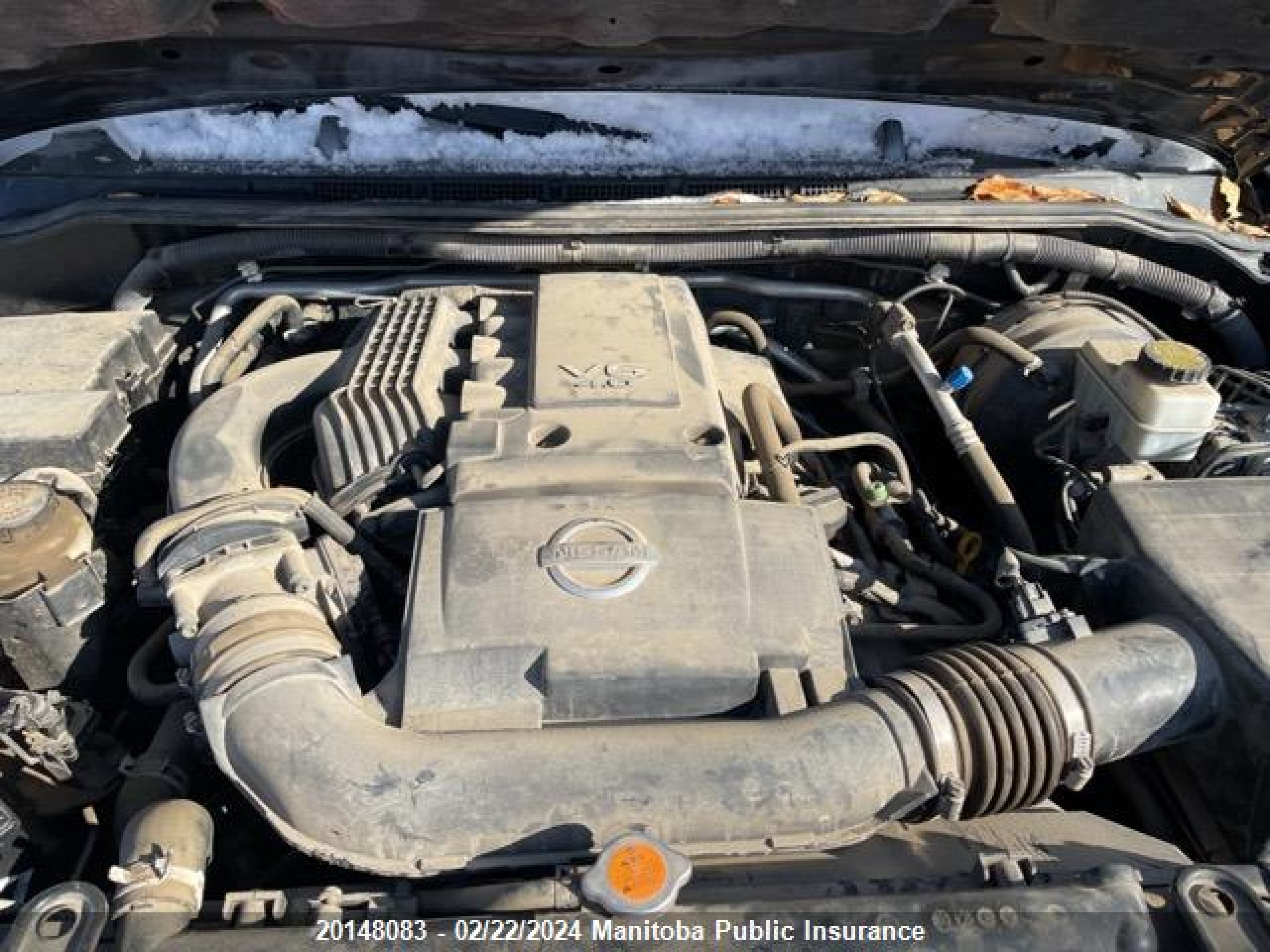 Photo 9 VIN: 5N1AN08W67C526586 - NISSAN XTERRA 