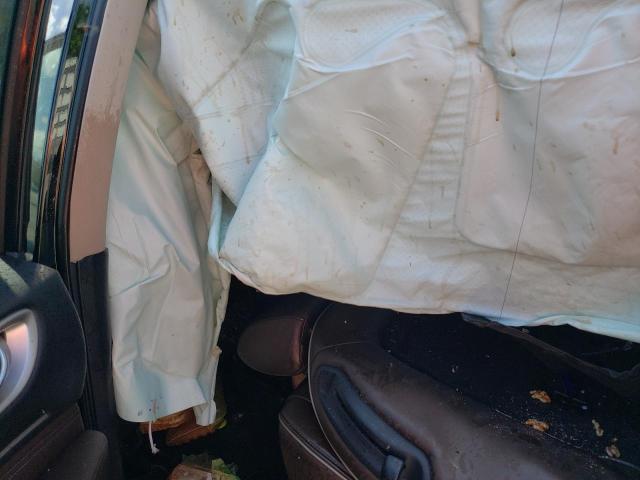 Photo 7 VIN: 5N1DL0MMXLC525572 - INFINITI QX60 LUXE 