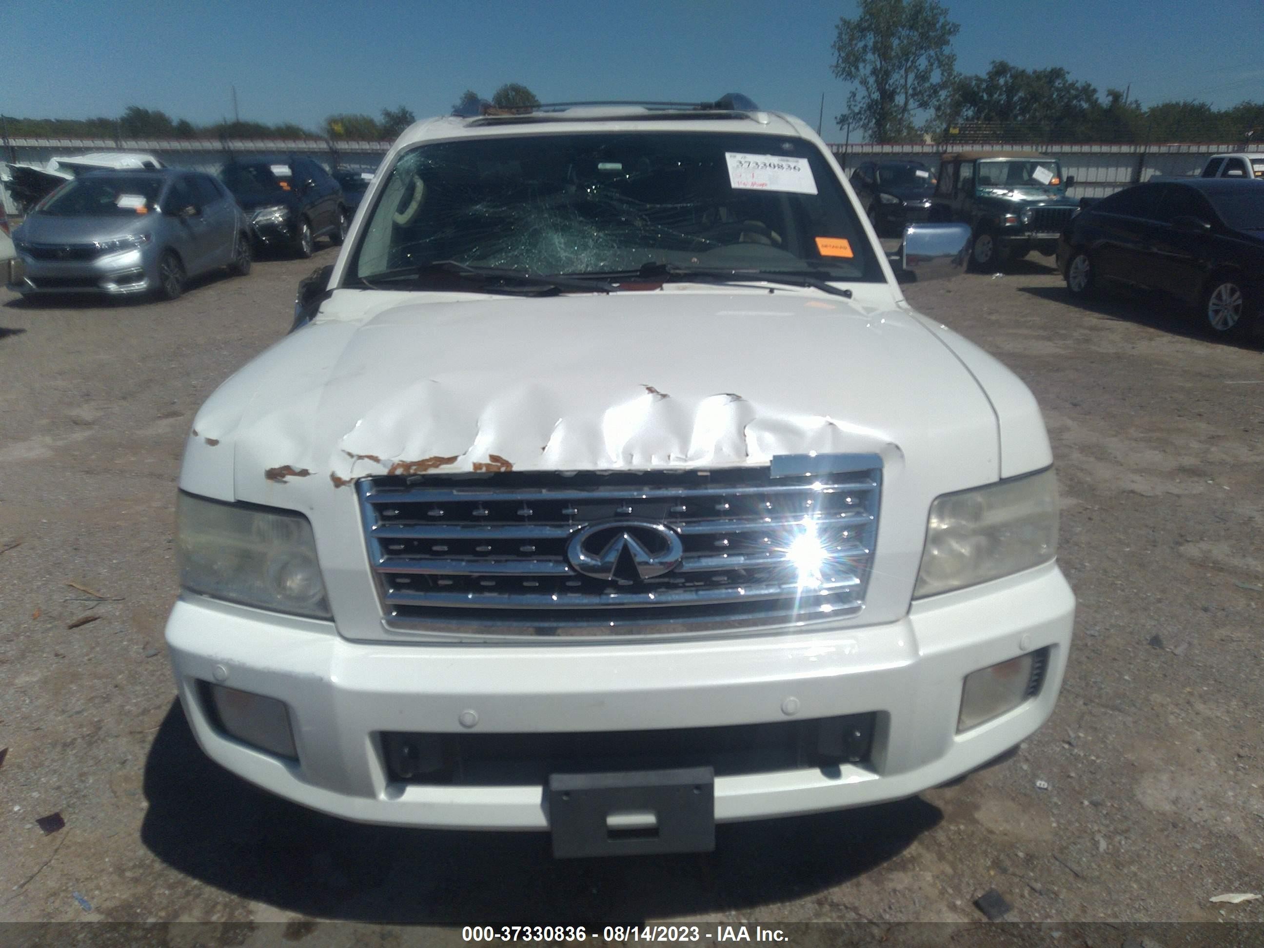 Photo 12 VIN: 5N3AA08D29N902841 - INFINITI QX56 