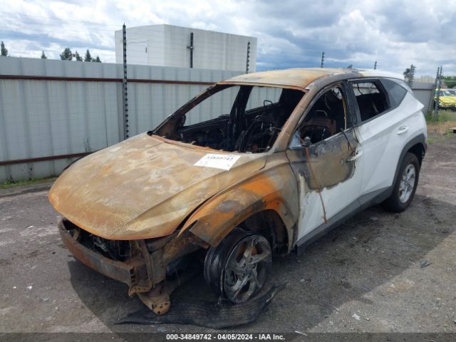 Photo 1 VIN: 5NMJACAE0NH086978 - HYUNDAI TUCSON 