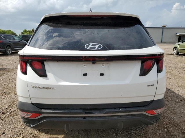 Photo 5 VIN: 5NMJACAE0PH283040 - HYUNDAI TUCSON SE 