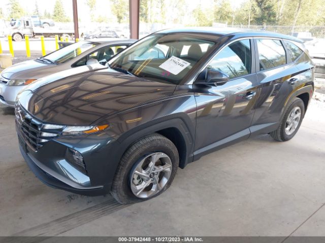 Photo 1 VIN: 5NMJACAE1PH289378 - HYUNDAI TUCSON 