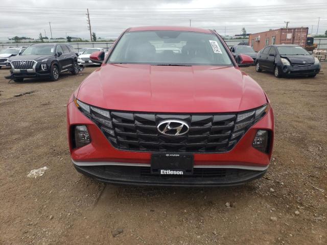 Photo 4 VIN: 5NMJACAE2PH274811 - HYUNDAI TUCSON SE 