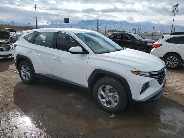 Photo 3 VIN: 5NMJACDE7RH431926 - HYUNDAI TUCSON SE 