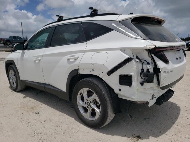 Photo 1 VIN: 5NMJB3AE1PH204648 - HYUNDAI TUCSON 