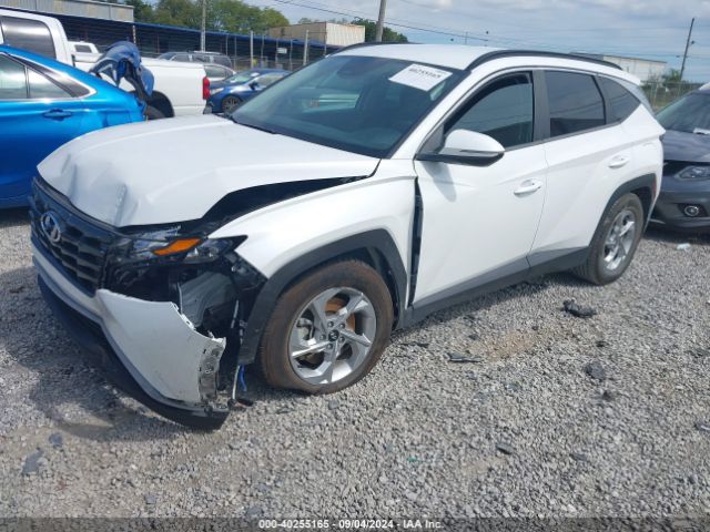 Photo 1 VIN: 5NMJB3AE3NH038386 - HYUNDAI TUCSON 