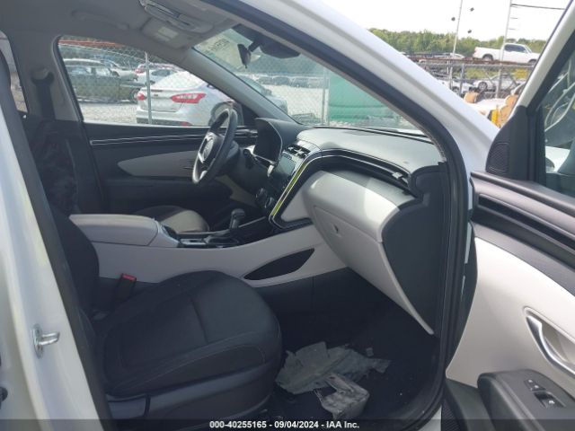 Photo 4 VIN: 5NMJB3AE3NH038386 - HYUNDAI TUCSON 