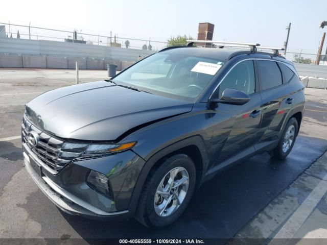 Photo 1 VIN: 5NMJB3AE3PH214257 - HYUNDAI TUCSON 