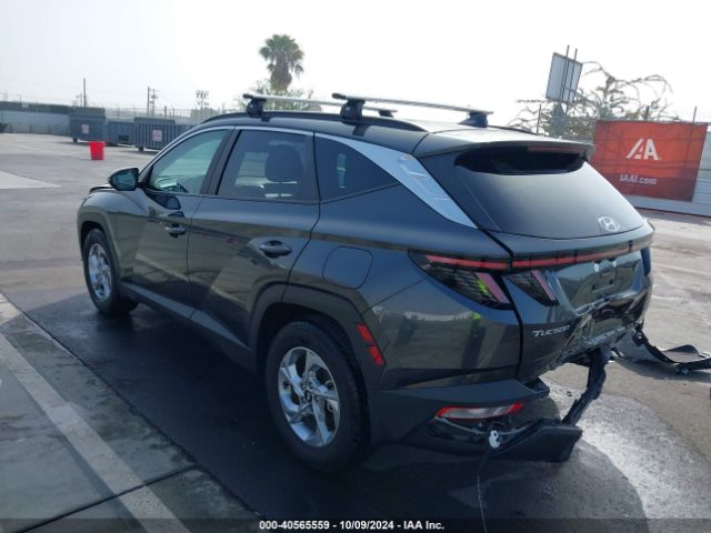 Photo 2 VIN: 5NMJB3AE3PH214257 - HYUNDAI TUCSON 