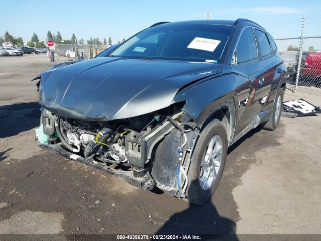 Photo 1 VIN: 5NMJB3AE3PH238798 - HYUNDAI TUCSON 