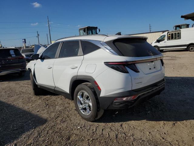 Photo 1 VIN: 5NMJB3AE3PH291081 - HYUNDAI TUCSON SEL 