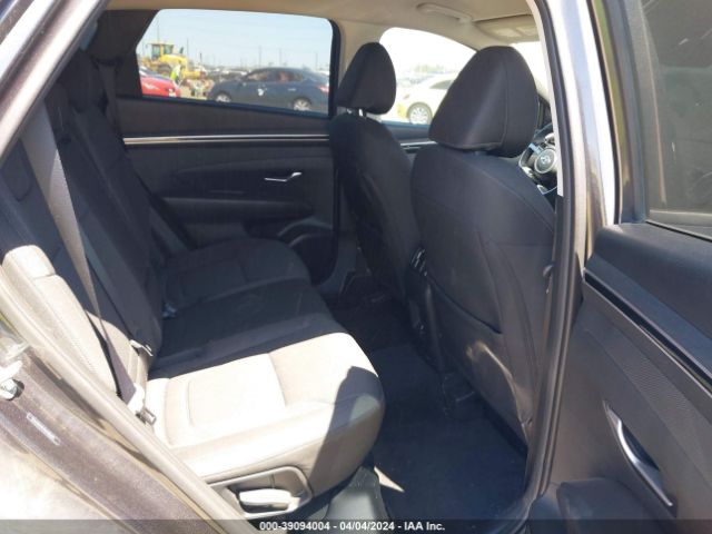 Photo 7 VIN: 5NMJB3AE4NH103326 - HYUNDAI TUCSON 