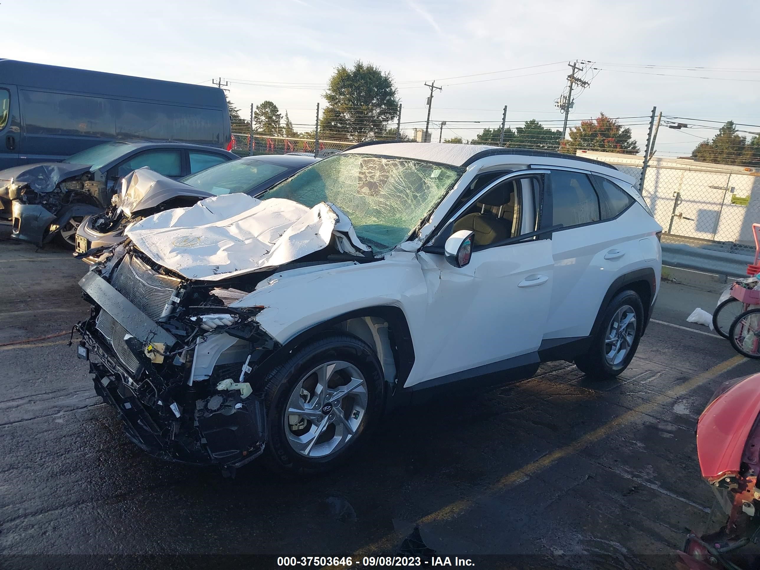 Photo 1 VIN: 5NMJB3AE6PH293813 - HYUNDAI TUCSON 