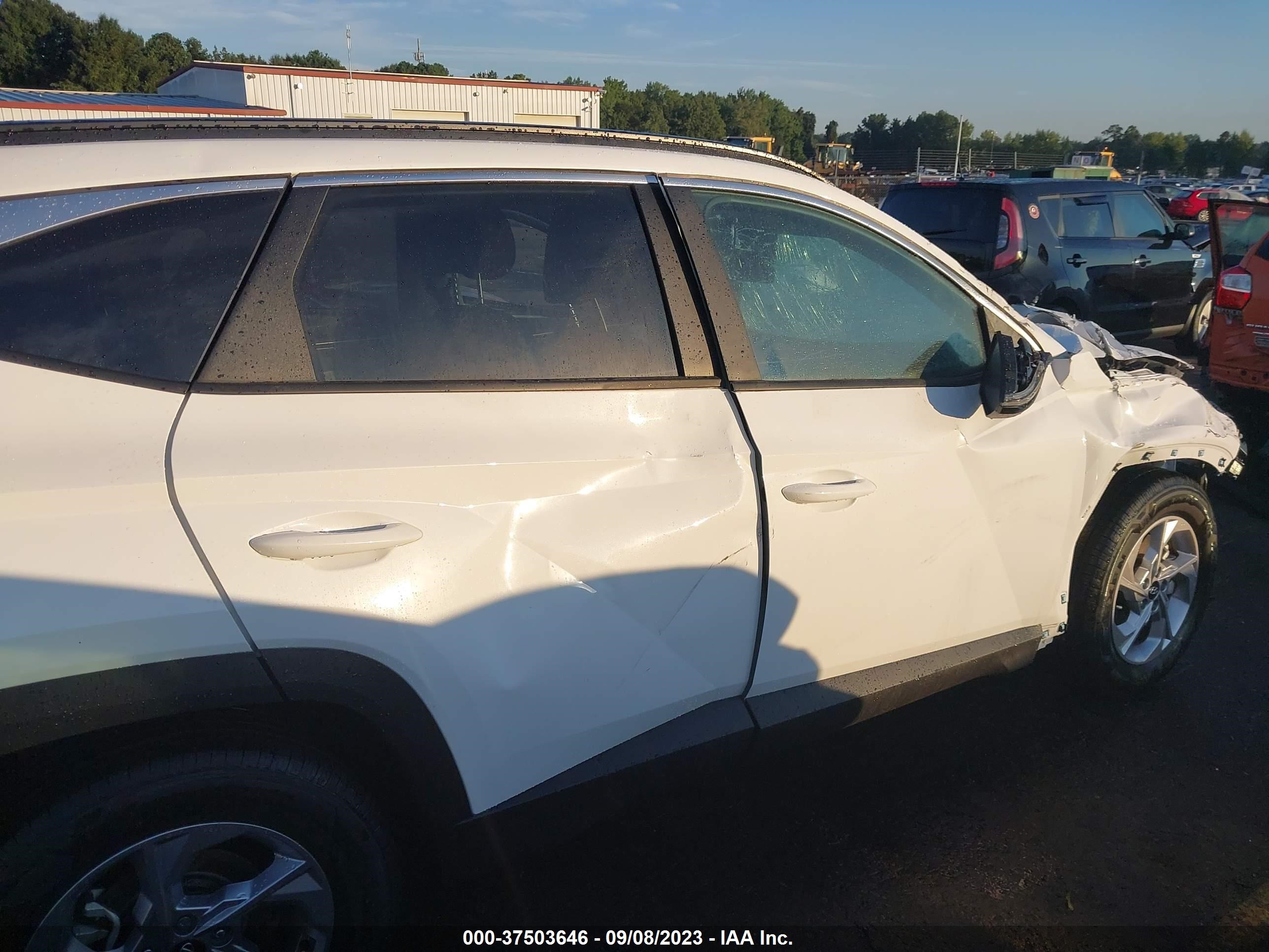 Photo 13 VIN: 5NMJB3AE6PH293813 - HYUNDAI TUCSON 