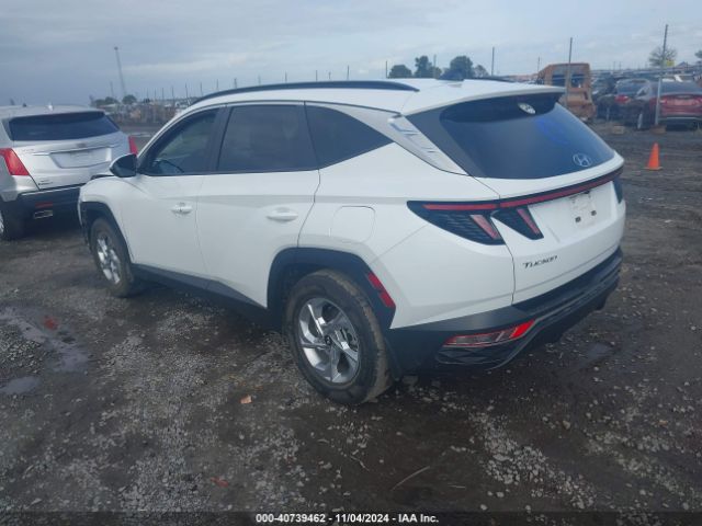 Photo 2 VIN: 5NMJB3AE7NH154528 - HYUNDAI TUCSON 