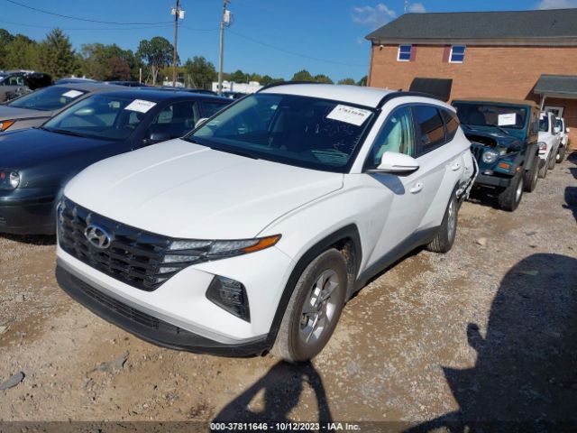 Photo 1 VIN: 5NMJB3AE8PH176136 - HYUNDAI TUCSON 