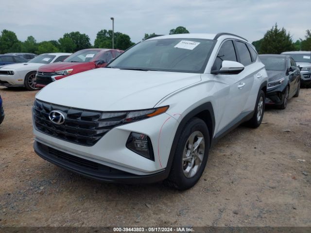 Photo 1 VIN: 5NMJB3AEXNH006194 - HYUNDAI TUCSON 