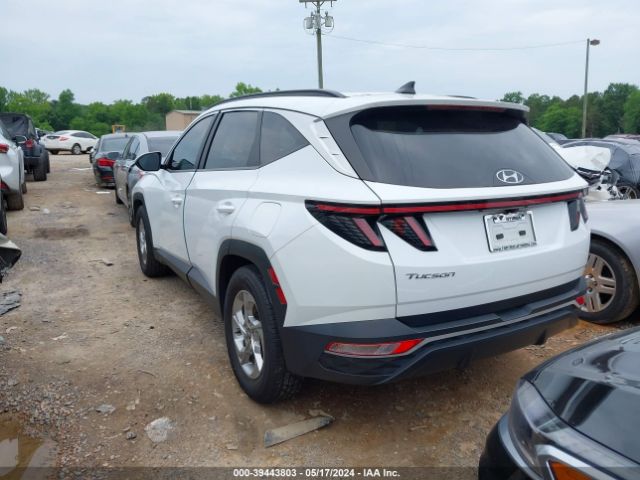 Photo 2 VIN: 5NMJB3AEXNH006194 - HYUNDAI TUCSON 