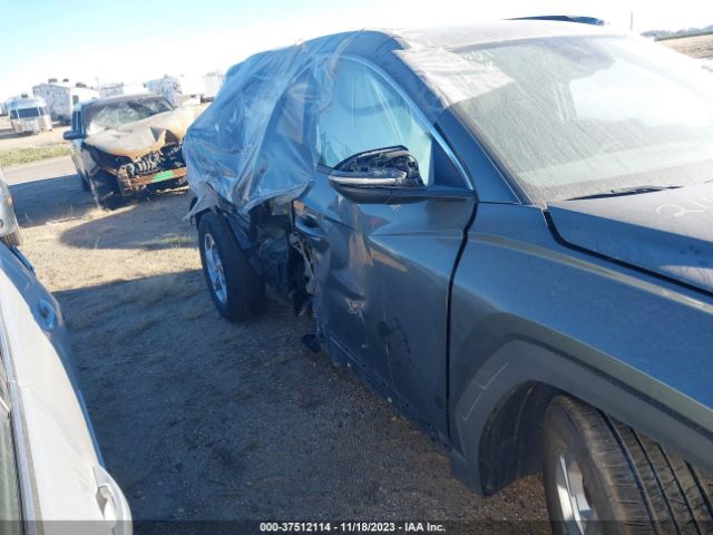 Photo 5 VIN: 5NMJB3AEXNH146519 - HYUNDAI TUCSON 