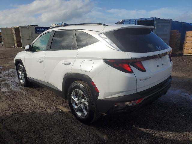 Photo 1 VIN: 5NMJB3DE0RH380587 - HYUNDAI TUCSON SEL 