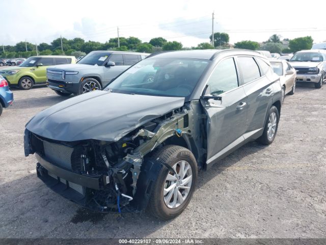 Photo 5 VIN: 5NMJB3DE3RH341542 - HYUNDAI TUCSON 