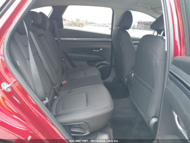 Photo 7 VIN: 5NMJB3DE3RH419219 - HYUNDAI TUCSON 