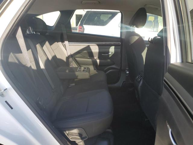 Photo 10 VIN: 5NMJB3DE4RH384464 - HYUNDAI TUCSON 