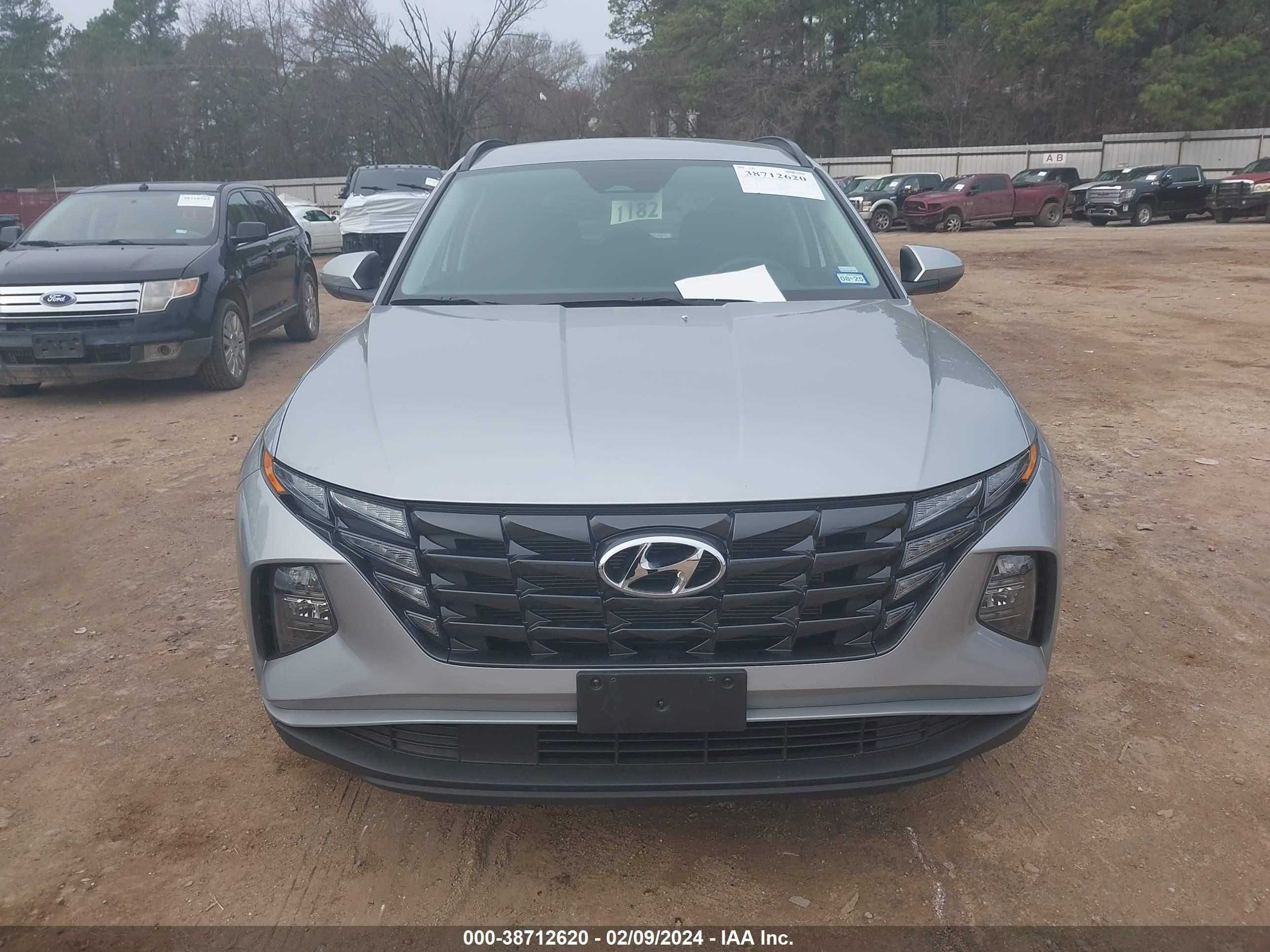 Photo 11 VIN: 5NMJB3DE8RH316863 - HYUNDAI TUCSON 