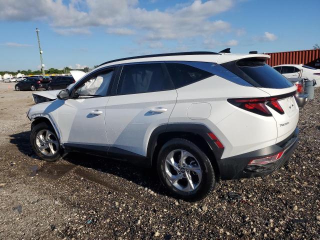 Photo 1 VIN: 5NMJB3DE8RH384371 - HYUNDAI TUCSON SEL 