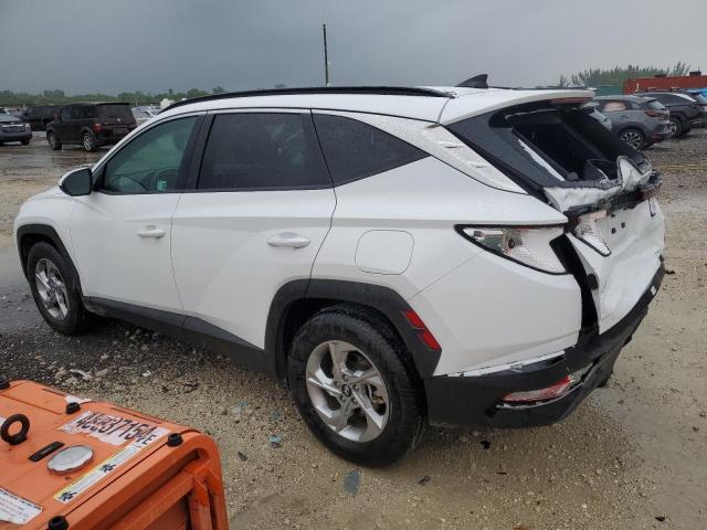 Photo 1 VIN: 5NMJB3DEXRH387501 - HYUNDAI TUCSON SEL 