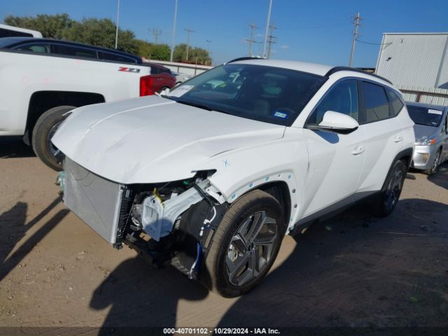 Photo 1 VIN: 5NMJB3DEXRH425079 - HYUNDAI TUCSON 