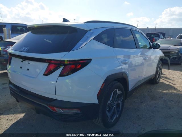 Photo 3 VIN: 5NMJB3DEXRH425079 - HYUNDAI TUCSON 