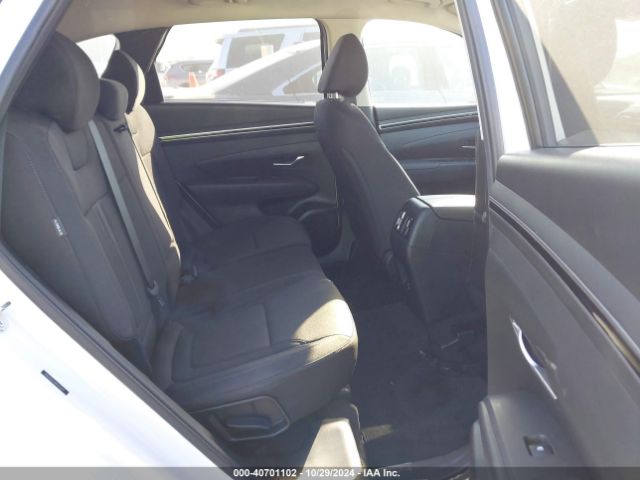 Photo 7 VIN: 5NMJB3DEXRH425079 - HYUNDAI TUCSON 