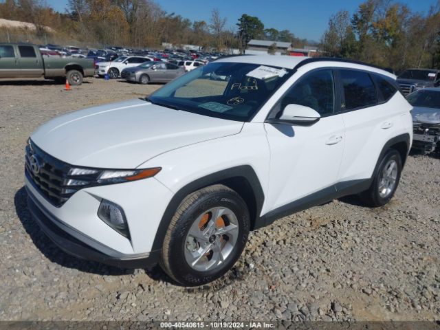 Photo 1 VIN: 5NMJBCAE2PH237707 - HYUNDAI TUCSON 