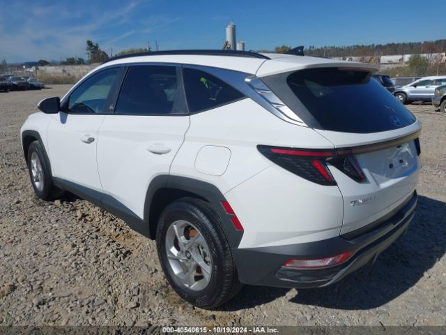 Photo 2 VIN: 5NMJBCAE2PH237707 - HYUNDAI TUCSON 