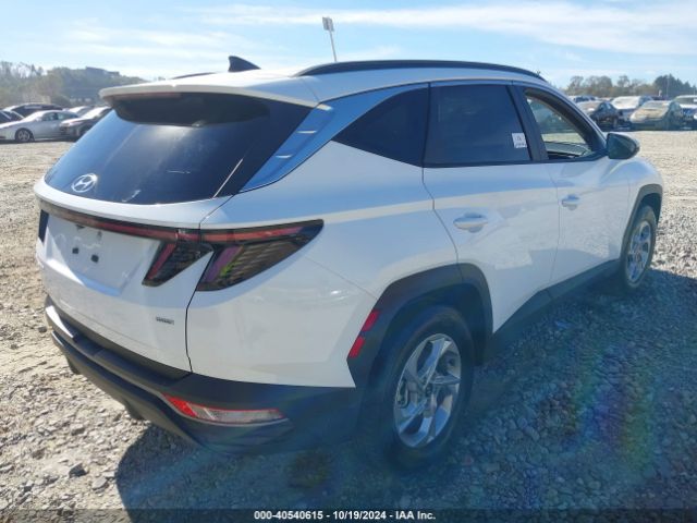 Photo 3 VIN: 5NMJBCAE2PH237707 - HYUNDAI TUCSON 