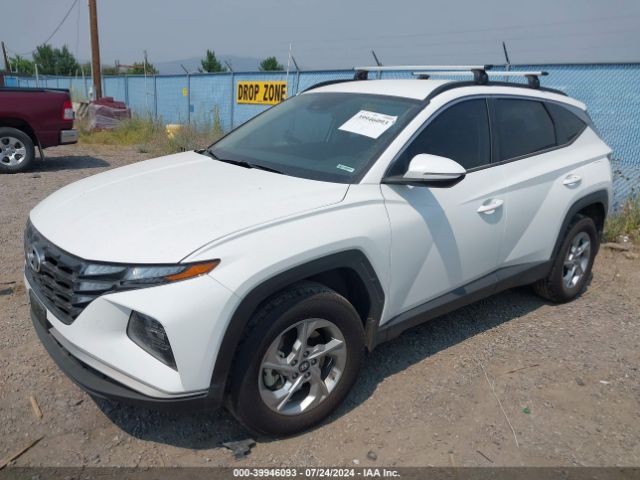 Photo 1 VIN: 5NMJBCAE2PH285384 - HYUNDAI TUCSON 