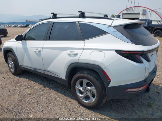 Photo 2 VIN: 5NMJBCAE2PH285384 - HYUNDAI TUCSON 