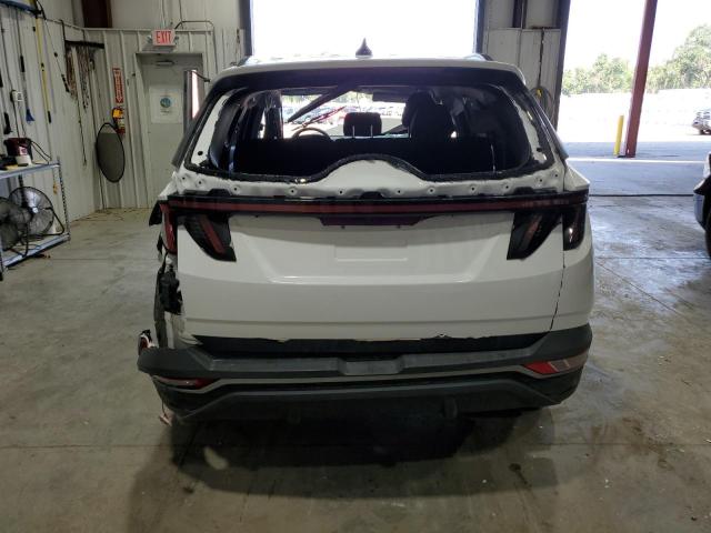 Photo 5 VIN: 5NMJBCAE3PH221824 - HYUNDAI TUCSON SEL 