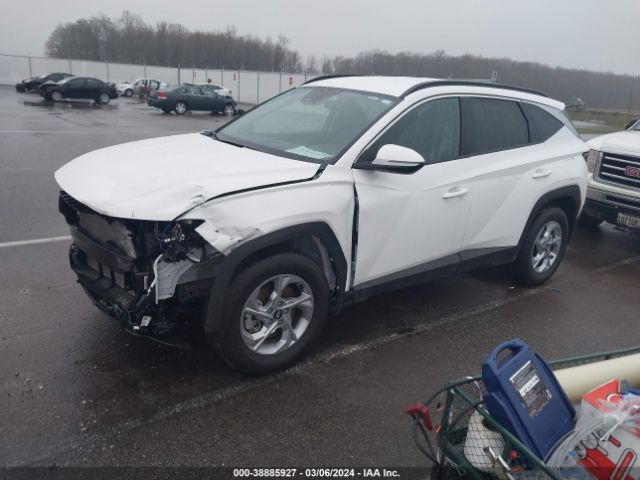 Photo 1 VIN: 5NMJBCAE3PH257660 - HYUNDAI TUCSON 