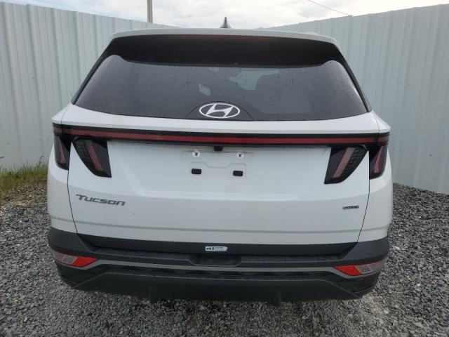 Photo 5 VIN: 5NMJBCAE6PH217279 - HYUNDAI TUCSON SEL 