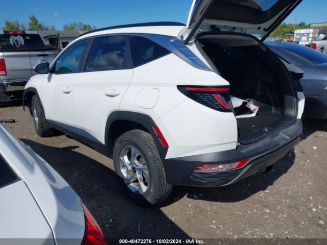 Photo 2 VIN: 5NMJBCAE7PH180274 - HYUNDAI TUCSON 