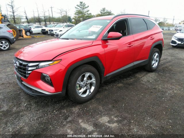 Photo 1 VIN: 5NMJBCAE7PH255006 - HYUNDAI TUCSON 