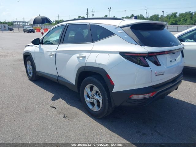 Photo 2 VIN: 5NMJBCAE8PH259470 - HYUNDAI TUCSON 