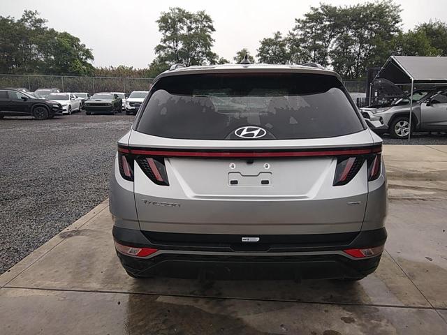 Photo 11 VIN: 5NMJBCAE9PH218300 - HYUNDAI TUCSON SEL 