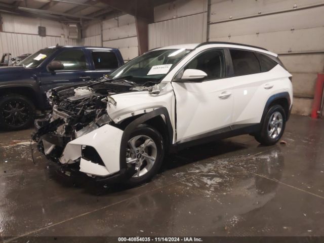 Photo 1 VIN: 5NMJBCAE9PH258473 - HYUNDAI TUCSON 