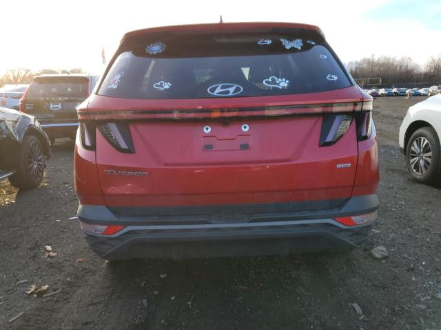 Photo 5 VIN: 5NMJBCAEXPH170354 - HYUNDAI TUCSON SEL 