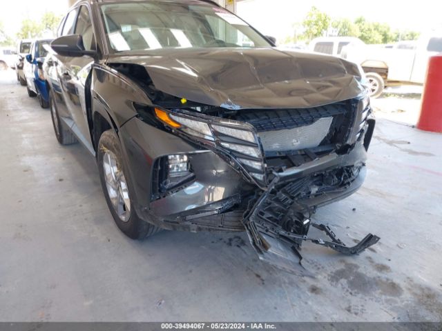 Photo 5 VIN: 5NMJBCAEXPH246638 - HYUNDAI TUCSON 