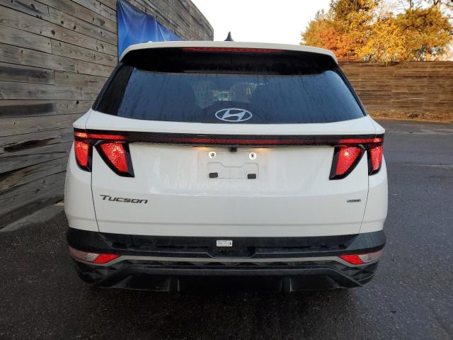 Photo 5 VIN: 5NMJBCDE2RH388884 - HYUNDAI TUCSON SEL 