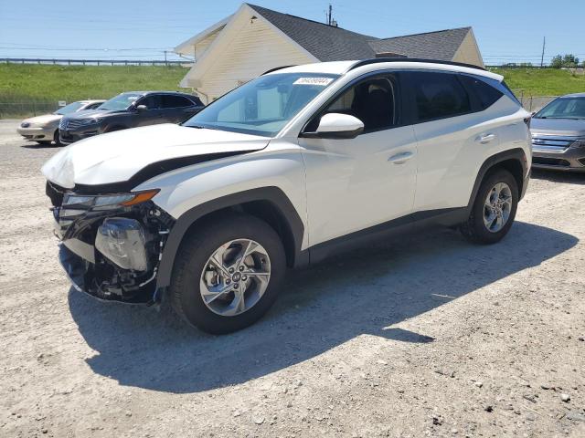 Photo 0 VIN: 5NMJBCDE4RH406382 - HYUNDAI TUCSON 